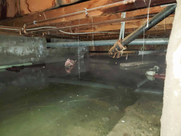  Radcliff, KY Water damage restoration Pros