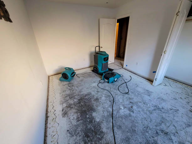 Professional Water damage restoration in KY