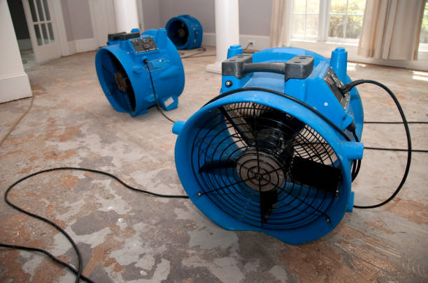 Best Water damage cleanup near me  in Radcliff, KY